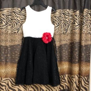 Girls’ Dress NWOT